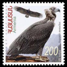 Armenia postage - Aegypius monachus (Eurasian black vulture)
