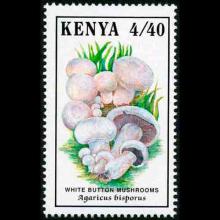 Kenya postage - Agaricus bisporus (White mushroom)