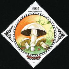 Mongolia postage - Agaricus silvaticus (Scaly wood mushroom)