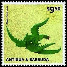 Antigua and Barbuda postage - Aloe vera (Burn plant)