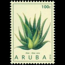 Aruba postage - Aloe vera (Burn plant)