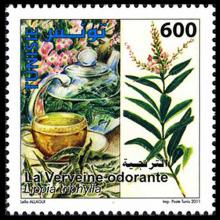 Tunisia postage - Aloysia citrodora (Lemon verbena)