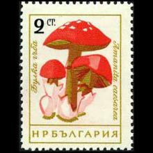 Bulgaria postage - Amanita caesarea (Caesar's mushroom)
