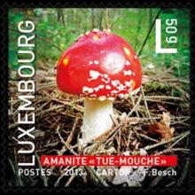 Luxembourg postage - Amanita muscaria (Fly agaric)