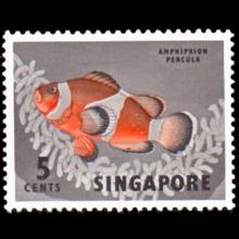 Singapore postage - Amphiprion percula (Orange clownfish)
