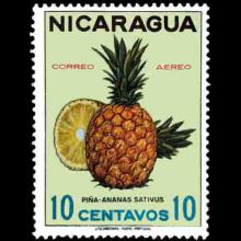 Nicaragua postage - Ananas comosus (Pineapple-aka Ananas sativas)