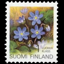 Finland postage - Hepatica acutiloba (Sharplobe hepatica)