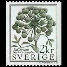 Sweden postage - Angelica archangelica (Norwegian angelica)