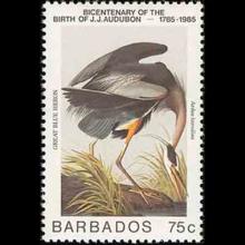 Barbados postage - Ardea herodias (Great blue heron)