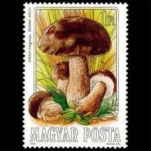 Hungary postage - Boletus edulis (Porcini)