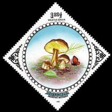 Mongolia postage - Boletus edulis (Porcini)