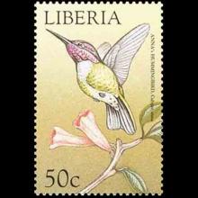Liberia postage - Calypte anna (Anna's Hummingbird)