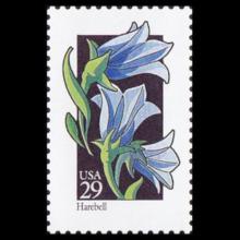 United States postage - Campanula rotundifolia (Harebell)