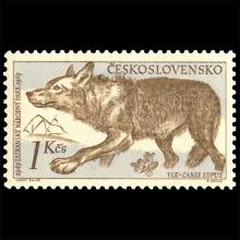 Czechoslovakia postage - Canis lupus (Gray wolf)