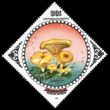 Mongolia postage - Cantharellus cibarius (Chanterelle)
