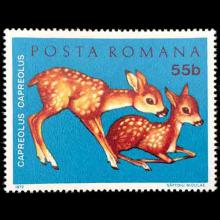 Romania postage - Capreolus capreolus (Roe deer)