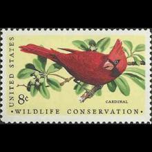 United States postage - Cardinalis cardinalis (Northern cardinal)