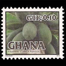 Ghana postage - Carica papaya (Papaya)