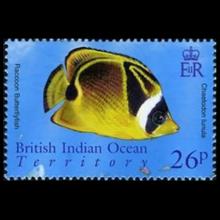 British Indian Ocean Territory postage - Chaetodon lunula (Raccoon butterflyfish)