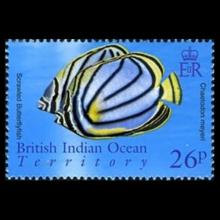 British Indian Ocean Territory postage - Chaetodon meyeri (Scrawled butterflyfish)