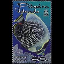 Pitcairn Islands postage - Chaetodon reticulatus (Mailed butterflyfish)