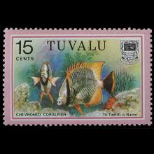 Tuvalu postage - Chaetodon trifascialis (Chevroned coralfish)