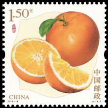 China postage - Citrus x aurantium (Sweet orange)