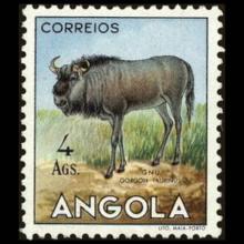 Angola postage - Connochaetes taurinus (Blue wildebeest)