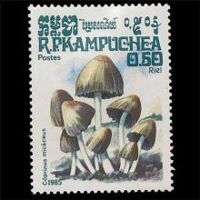 Cambodia postage - Coprinellus micaceus (Mica cap)