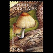 Togo postage - Coprinellus micaceus (Mica cap)