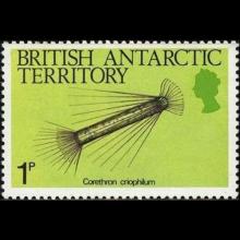 British Antarctic Territory postage - Corethron criophilum (Diatom)