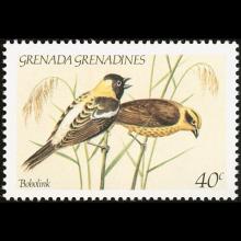 Grenada Grenadines - Dolichonyx oryzivorus (Bobolink)