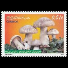 Spain postage - Entoloma sinuatum (Livid entoloma)