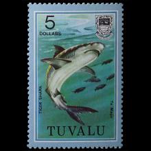 Tuvalu postage - Galeocerdo cuvier (Tiger shark)