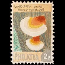 Philatia postage - Ganoderma tsugae (Hemlock varnish shelf)