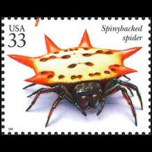 United States postage - Gasteracantha cancriformis (Spinybacked spider)