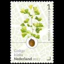 Netherlands postage - Ginkgo biloba (Maidenhair tree)