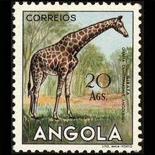 Angola postage - Giraffa camelopardalis (Northern giraffe)