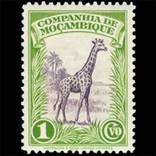 Mozambique Company postage - Giraffa camelopardalis (Northern giraffe)