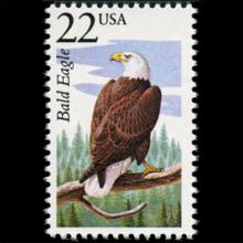 United States postage - Haliaeetus leucocephalus (Bald eagle)