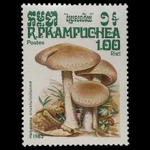 Cambodia postage - Hebeloma crustuliniforme (Poison pie)