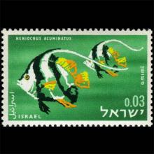 Israel postage - Heniochus acuminatus (Pennant coralfish)