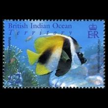 British Indian Ocean Territory postage - Heniochus monoceros (Masked bannerfish)