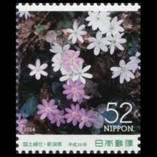 Japan postage - Hepatica acutiloba (Sharplobe hepatica)