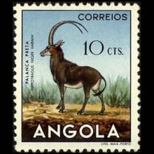 Angola postage - Hippotragus niger (Giant sable antelope)