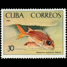 Cuba postage - Holocentrus adscensionis (Longjaw squirrelfish)