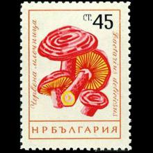 Bulgaria postage - Lactarius deliciosus (Saffron milk cap)
