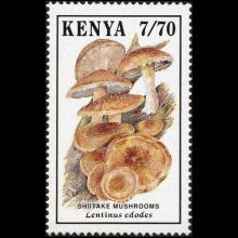 Kenya postage - Lentinula edodes (Shiitake mushroom)