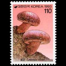 South Korea postage - Lentinula edodes (Shiitake mushroom)