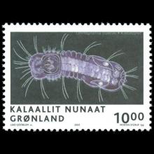 Greenland postage - Limnognathia maerski